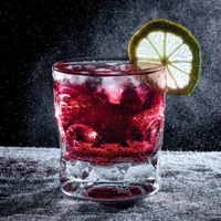 MG Fotografie | Produktbild von einem Glas mit roter Fluessigkeit und Zitrone